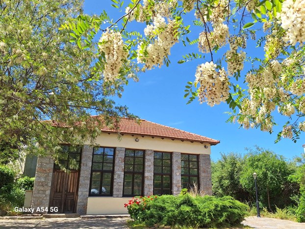 Εικόνα που περιέχει εξωτερικός χώρος/ύπαιθρος, ουρανός, ακίνητη περιουσία, κτίριο

Περιγραφή που δημιουργήθηκε αυτόματα